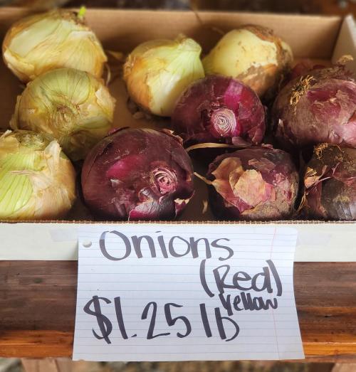 A box of red and yellow onions with a sign displaying the price: $1.25 per pound.