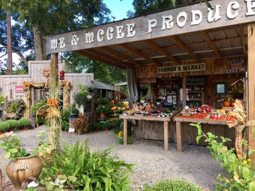 A rustic farmer's market stand with fresh produce, pumpkins, and decorative plants, surrounded by greenery.