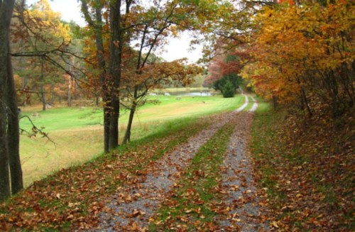 A winding gravel path surrounded by colorful autumn trees and a grassy field in the background.