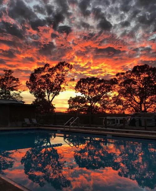Vibrant sunset with fiery orange and purple clouds reflected in a calm pool, surrounded by silhouetted trees.