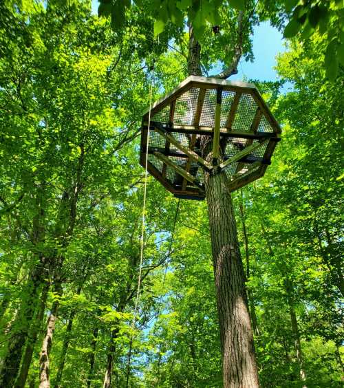 A wooden octagonal treehouse perched high in a lush green forest, surrounded by vibrant leaves and blue sky.