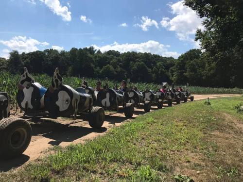 A line of children riding cow-themed go-karts on a dirt path through a green field under a blue sky.
