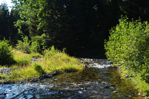 A serene river flows through a lush green landscape, surrounded by trees and vibrant foliage.