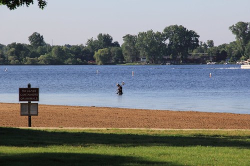 A person wades in a calm lake near a sandy beach, with trees and buildings in the background. A sign is visible nearby.
