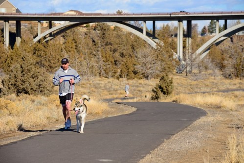 A man jogs with a dog on a path under a bridge, with trees and a clear sky in the background.
