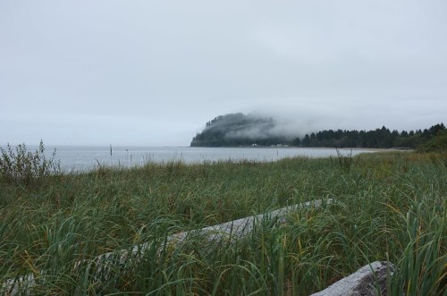 A misty shoreline with tall grass and a fog-covered hill in the background, creating a serene coastal scene.