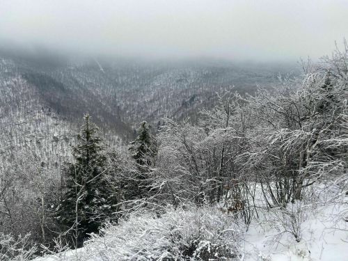 A snowy landscape with frosted trees and a misty mountain view in the background.