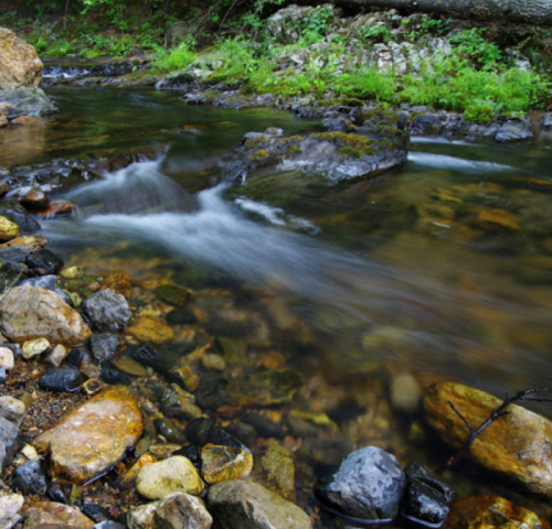 A serene stream flows over smooth stones, surrounded by lush greenery and moss-covered rocks.