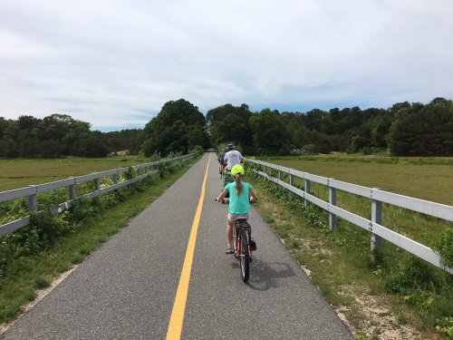 A group of people biking on a paved path surrounded by greenery and trees under a cloudy sky.