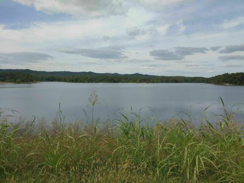 A serene lake surrounded by lush greenery and distant hills under a cloudy sky.
