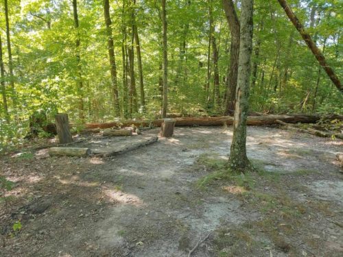 A clearing in a forest with two wooden benches and a fallen log, surrounded by lush green trees.