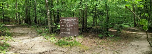 Sign for Campbell Creek Loop Trail with directions to various locations in a lush, green forest setting.