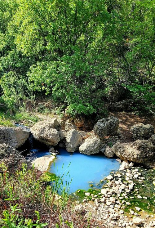 A serene blue pond surrounded by rocks and lush green foliage in a natural setting.