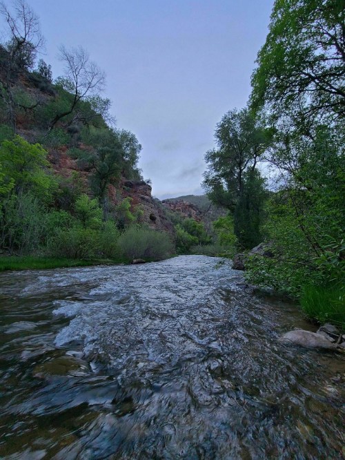 A serene river flows through a lush green landscape, surrounded by trees and rocky hills under a cloudy sky.