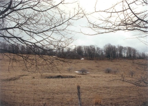 A barren landscape with bare trees, a grassy field, and a cloudy sky, hinting at early spring or late winter.