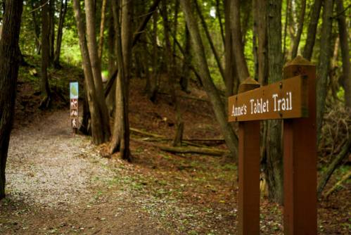 A wooden sign for "Anne's Tablet Trail" in a lush, green forest with a winding path ahead.