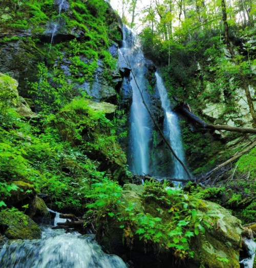 A serene waterfall cascades down rocky cliffs, surrounded by lush green foliage and vibrant vegetation.