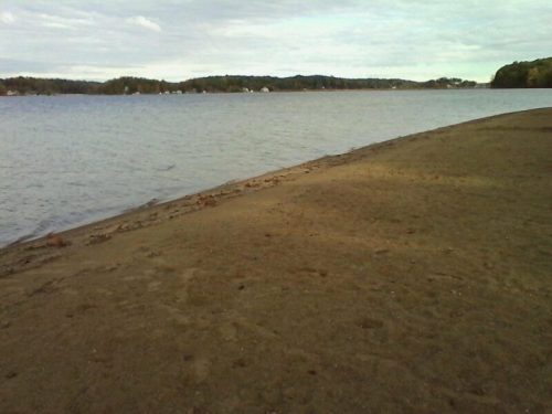 A calm lake shoreline with sandy beach and distant trees under a cloudy sky.