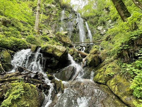 A lush green landscape featuring a cascading waterfall over rocky terrain, surrounded by dense foliage.