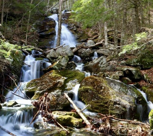 A serene waterfall cascades over moss-covered rocks, surrounded by lush green trees in a tranquil forest setting.