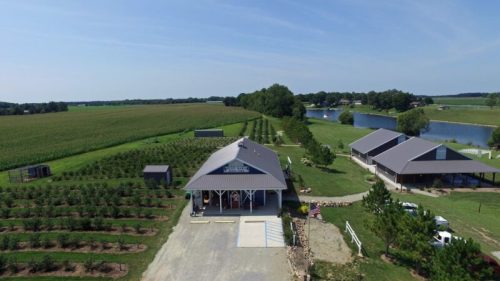 Aerial view of a farm with a main building, fields, and a pond, surrounded by trees and greenery under a clear blue sky.