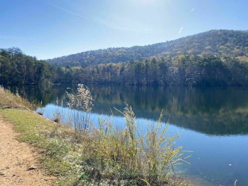 A serene lake surrounded by trees and mountains, reflecting the clear blue sky on a sunny day.