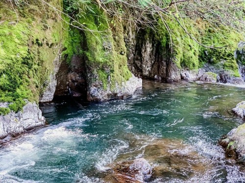 A serene river flows through moss-covered rocks, surrounded by lush greenery and gentle ripples in the water.