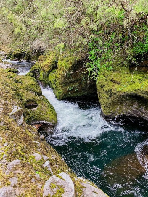 A serene river flows between moss-covered rocks, surrounded by lush greenery and trees.
