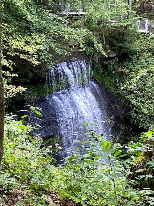 A serene waterfall cascading over rocks, surrounded by lush green foliage and trees in a tranquil forest setting.