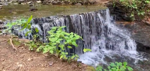 A small waterfall cascades over rocks into a clear stream, surrounded by lush green foliage and a dirt path.