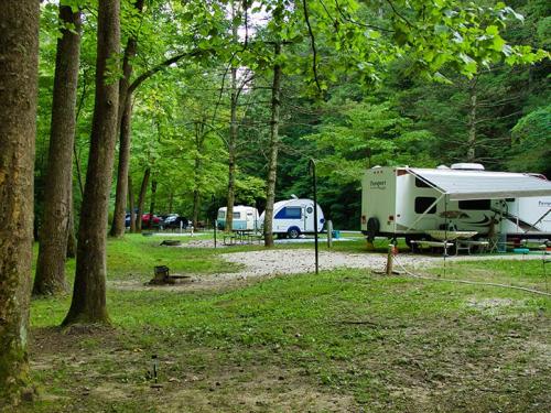 A serene camping area with RVs parked among green trees and a gravel path, surrounded by nature.