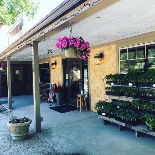 A charming storefront with hanging flower baskets, potted plants, and a welcoming entrance.