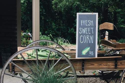 A wooden cart displays a sign reading "Fresh Sweet Corn" for $8, surrounded by greenery.