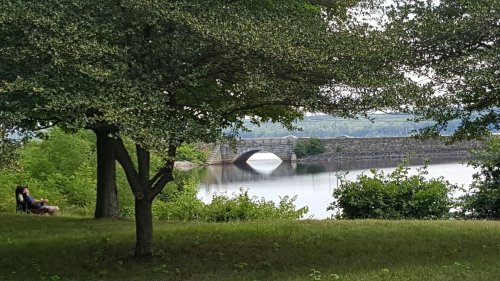 A serene landscape featuring a bridge over a calm lake, with a person relaxing under a tree nearby.