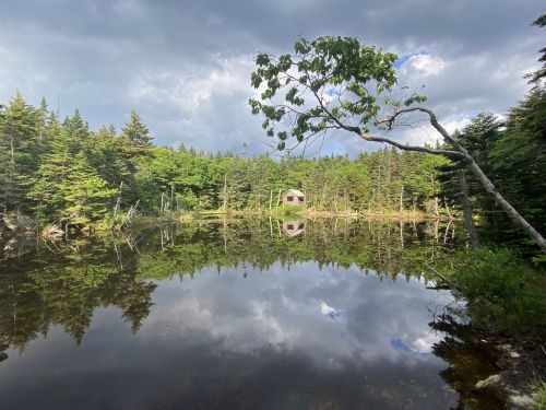 A serene pond reflects a cabin surrounded by lush green trees and a cloudy sky.