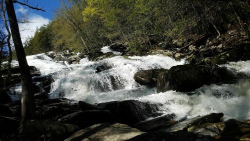 A cascading waterfall flows over rocky terrain, surrounded by lush green trees under a bright blue sky.