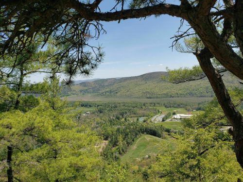 A scenic view of rolling green hills and valleys framed by tree branches under a clear blue sky.