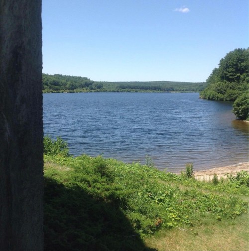 A serene lake surrounded by lush greenery and trees under a clear blue sky.
