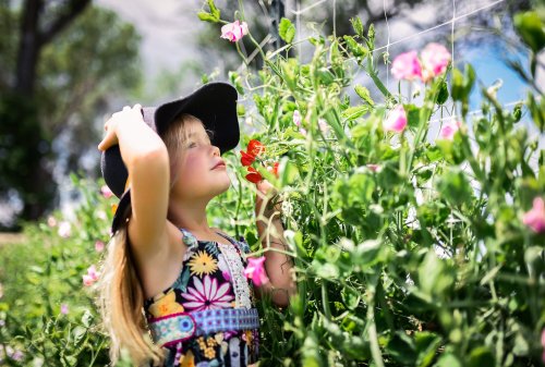 A young girl in a hat admires colorful flowers in a garden, surrounded by greenery and bright blooms.