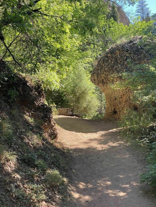 A sunlit dirt path winds through lush greenery, with a large rock formation on the right.