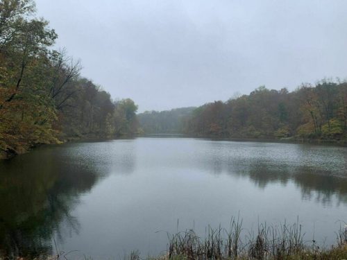 A serene lake surrounded by trees, reflecting the cloudy sky and autumn foliage on a misty day.