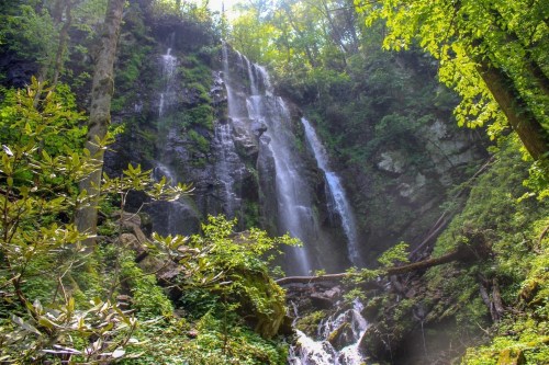 A serene waterfall cascading down a rocky cliff, surrounded by lush green trees and foliage.