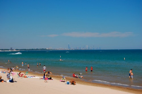 A sunny beach scene with people swimming and relaxing, city skyline visible in the distance across the water.