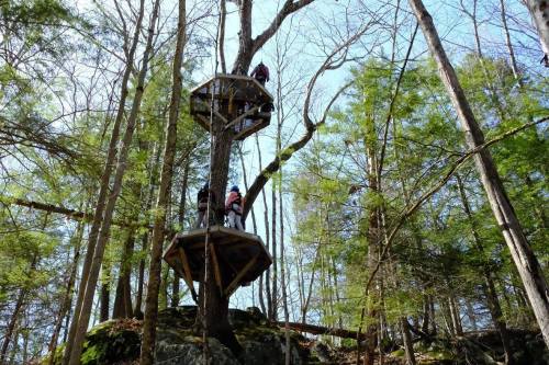 Two treehouses connected by ropes in a forest, with people climbing and exploring among the trees.