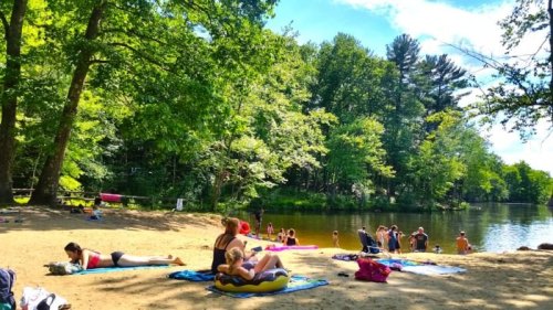 People relaxing on a sandy beach by a river, surrounded by trees and enjoying a sunny day.