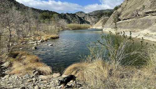 A serene river scene surrounded by rocky hills and sparse vegetation, with a dog exploring the shoreline.