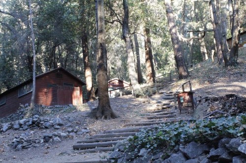 A wooded area with a dirt path leading to rustic cabins surrounded by tall trees and rocky terrain.