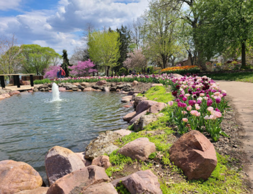 A serene park scene featuring a pond, colorful tulips, and blooming trees under a partly cloudy sky.