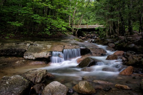 A serene stream flows over rocks in a lush green forest, with a wooden bridge visible in the background.