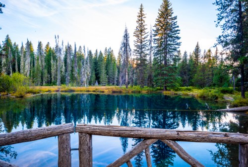 A serene lake surrounded by tall trees, reflecting the sky and forest in calm waters, with a wooden railing in the foreground.